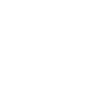 Primary Wave
